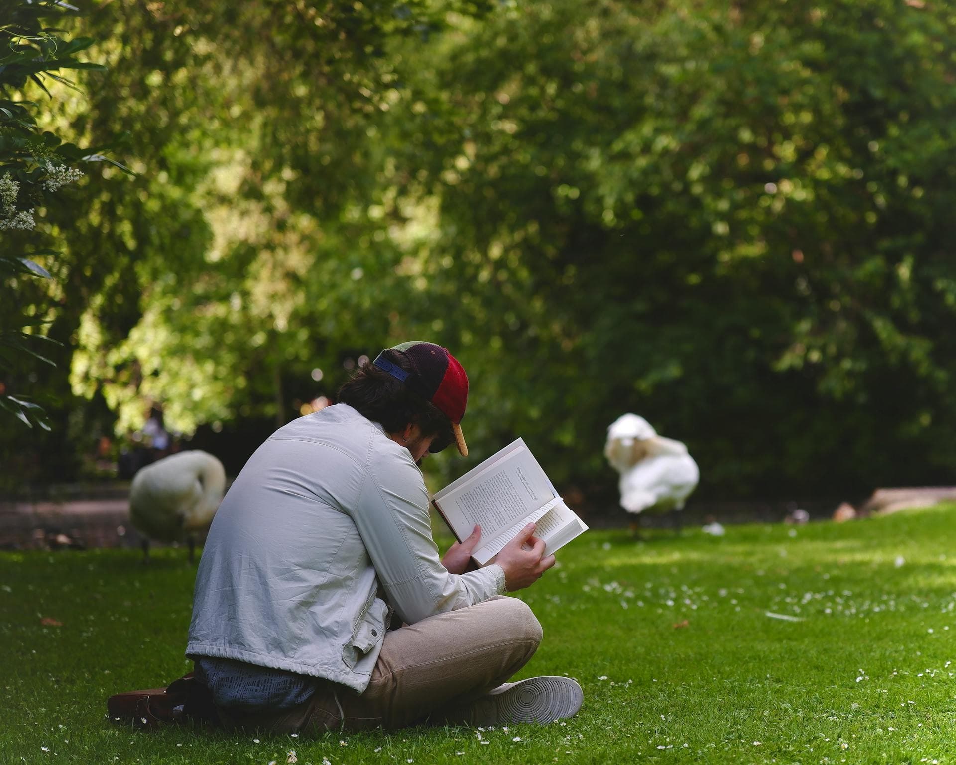 Leitura - SALMOS - meditação