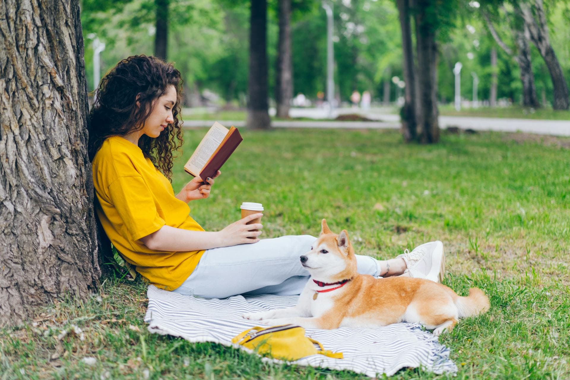 Leitura - SALMOS - meditação